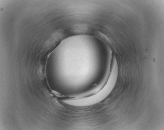 X0000070390428200606301951