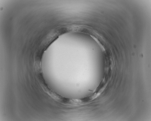 X0000070390429200606301951