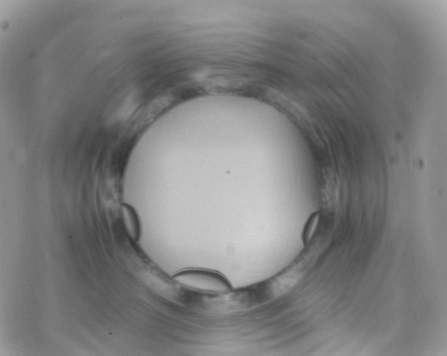 X0000070390430200606301951