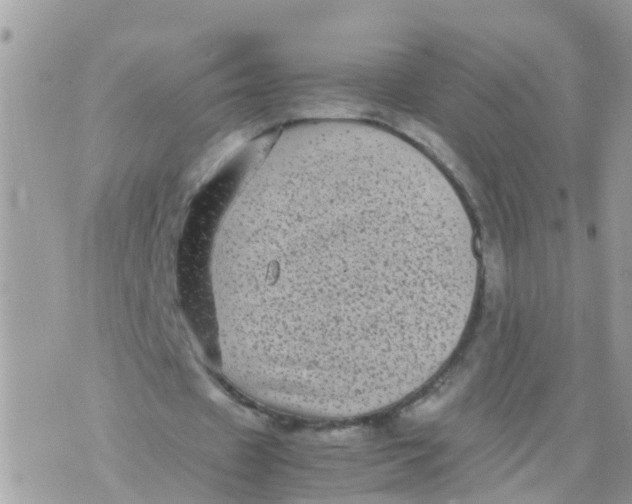 X0000070390433200606301950