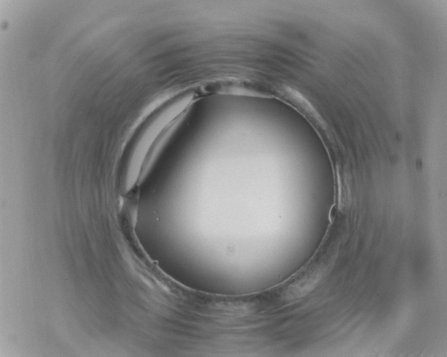 X0000070390435200606301950