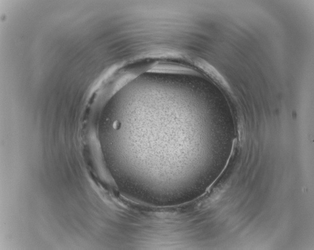 X0000070390436200606301950