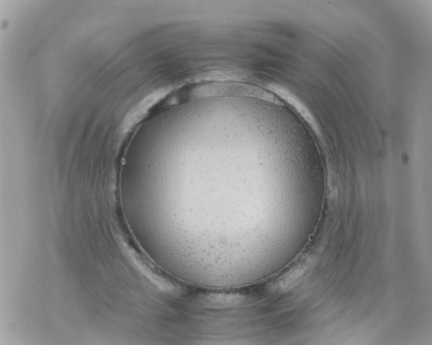 X0000070390437200606301950