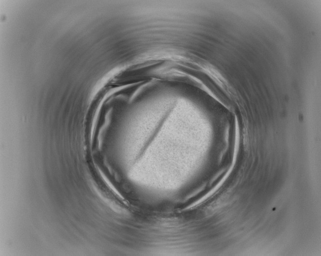 X0000070390438200606301950