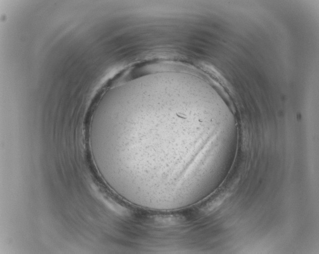 X0000070390439200606301950