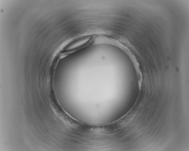 X0000070390440200606301950