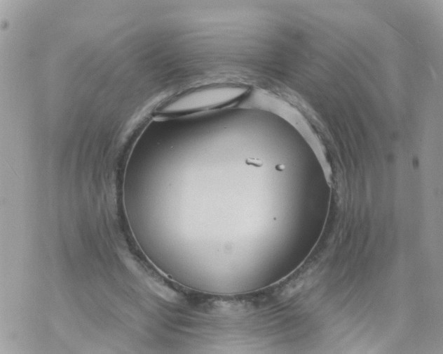 X0000070390442200606301950