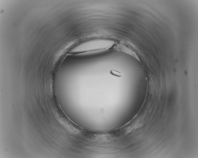 X0000070390446200606301950