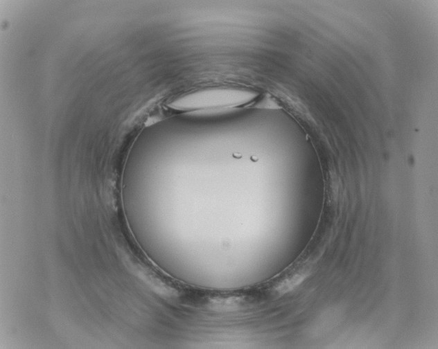 X0000070390450200606301950