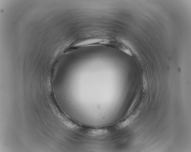 X0000070390453200606301950