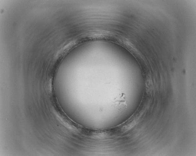 X0000070390454200606301950