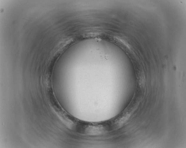 X0000070390455200606301950