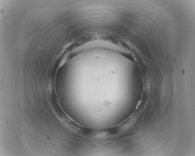 X0000070390456200606301950