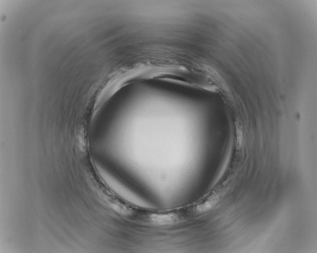 X0000070390457200606301950