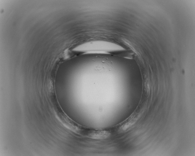 X0000070390459200606301950