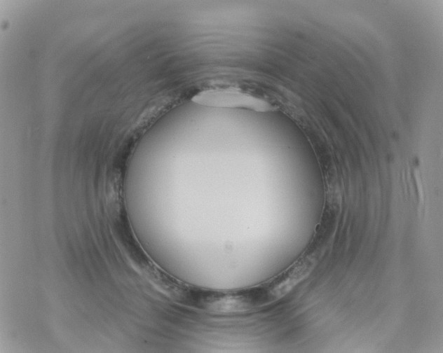 X0000070390460200606301950