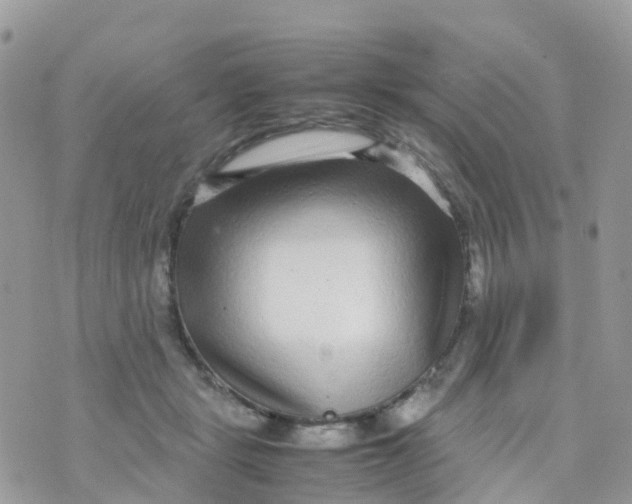 X0000070390461200606301950