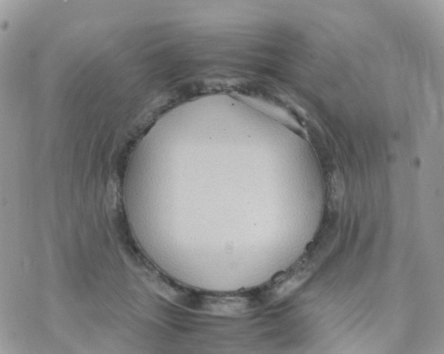 X0000070390463200606301950