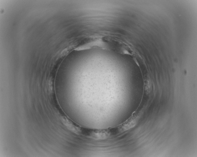 X0000070390466200606301951