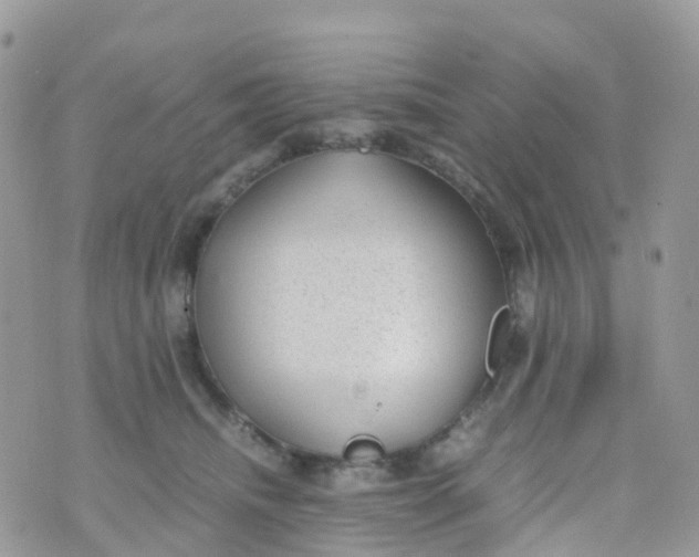 X0000070390468200606301951