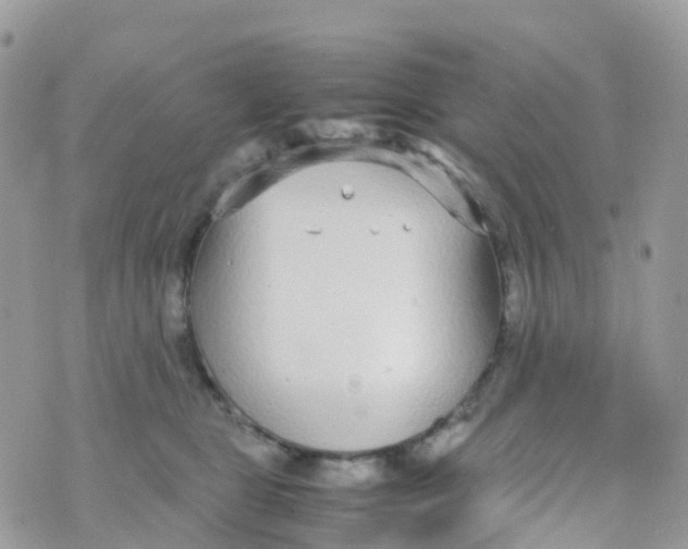 X0000070390469200606301951