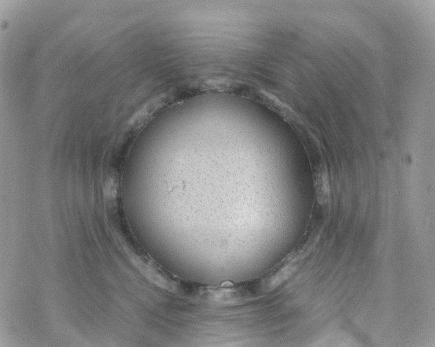 X0000070390472200606301951