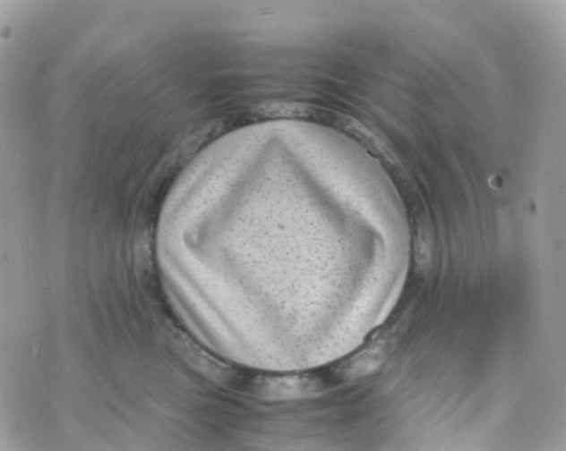 X0000070390473200606301951