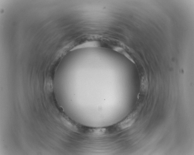 X0000070390474200606301951