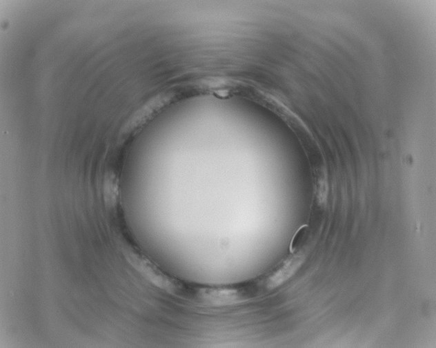 X0000070390476200606301951