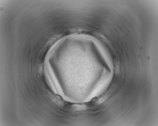 X0000070390477200606301951