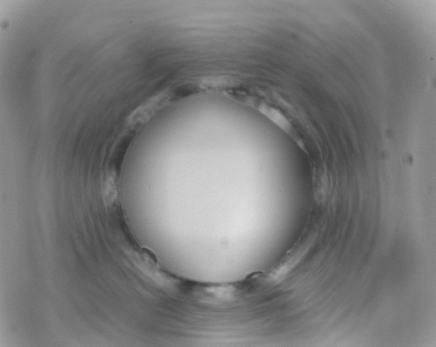 X0000070390478200606301951