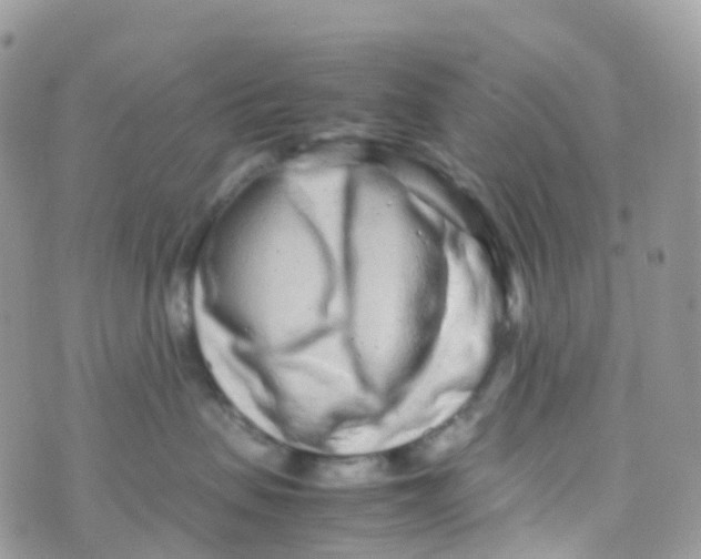 X0000070390479200606301951