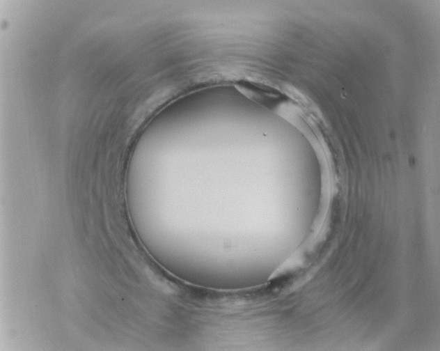 X0000070390481200606301950