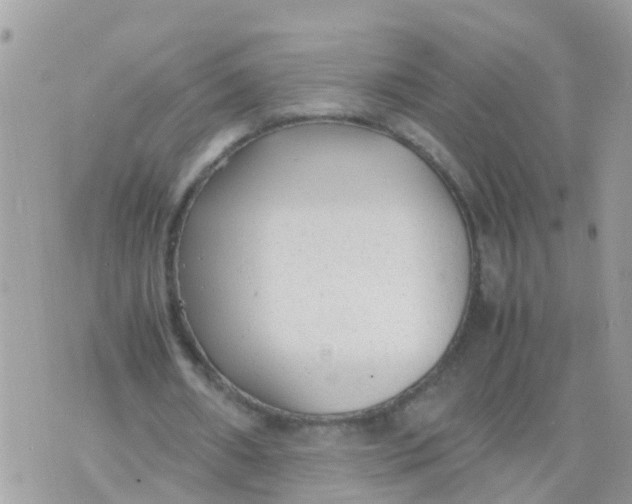 X0000070390482200606301950