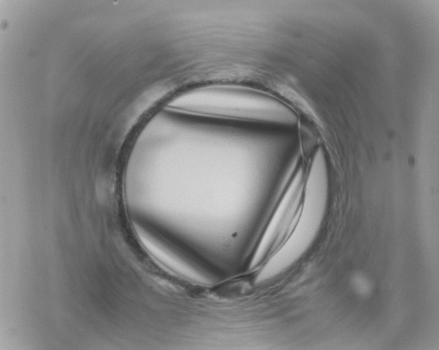 X0000070390483200606301950