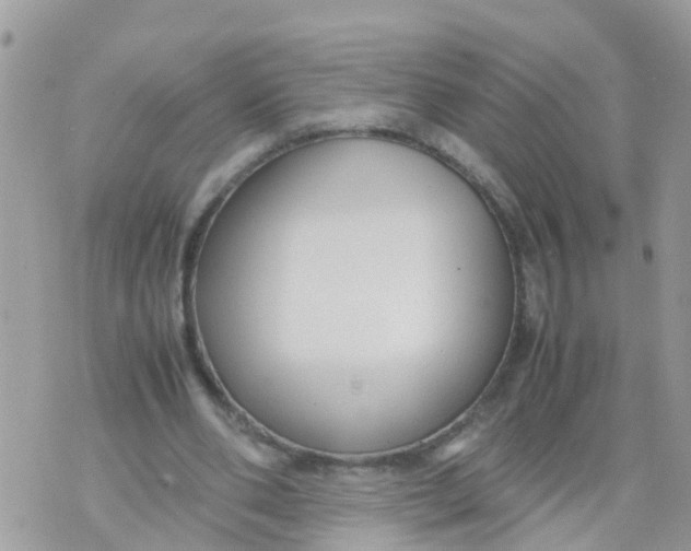 X0000070390486200606301950