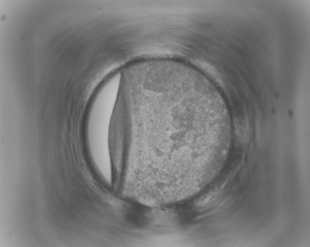 X0000070390487200606301950