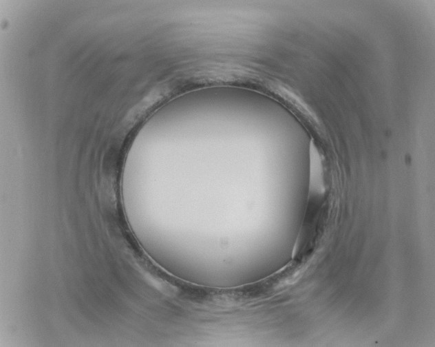 X0000070390489200606301950