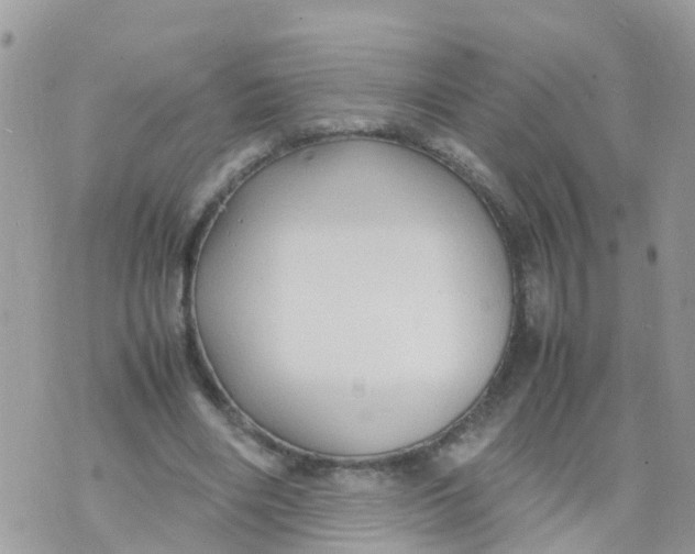 X0000070390490200606301950