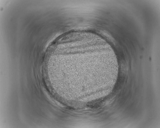 X0000070390491200606301950