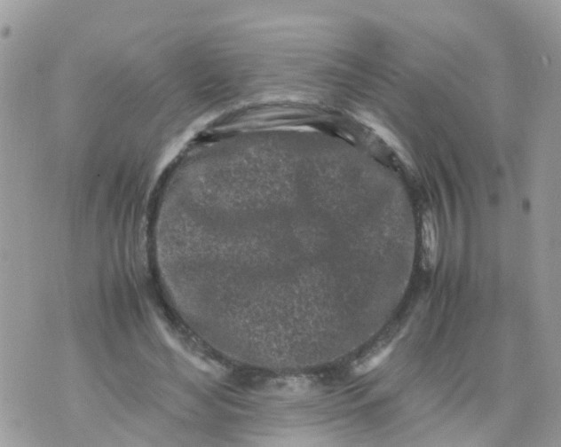 X0000070390492200606301950