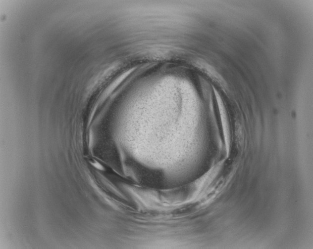 X0000070390493200606301950