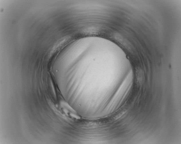 X0000070390494200606301950