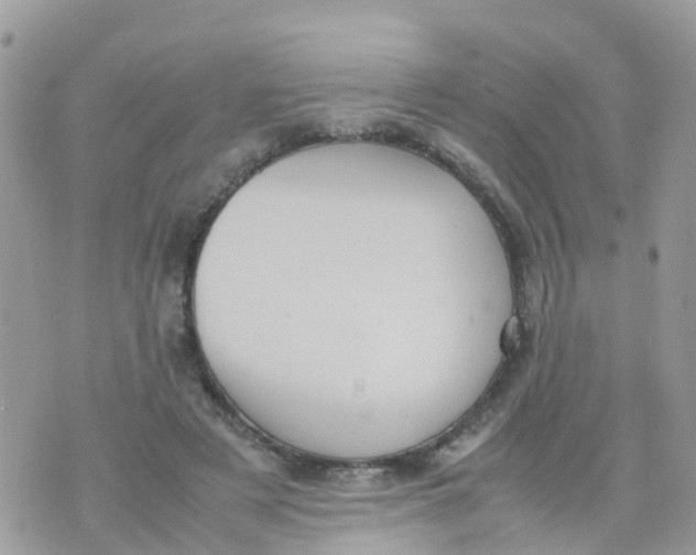 X0000070390497200606301950