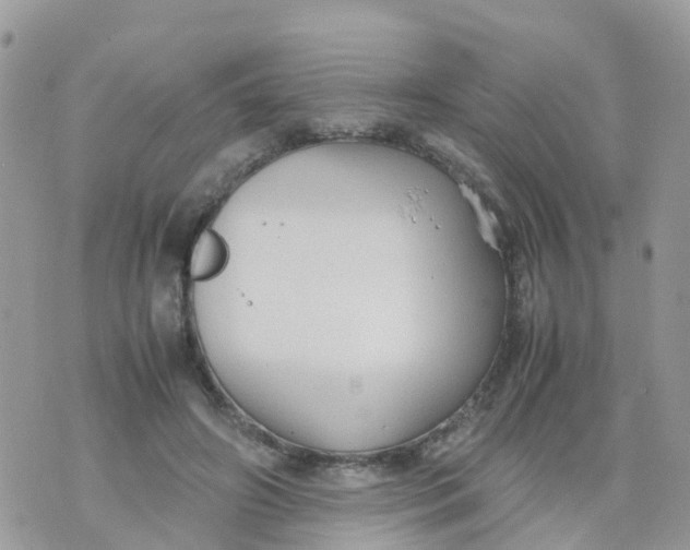 X0000070390498200606301950