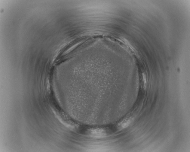 X0000070390500200606301950