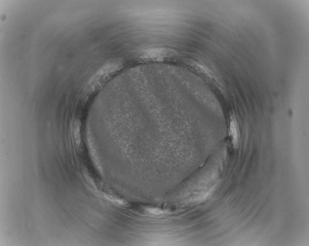 X0000070390504200606301950