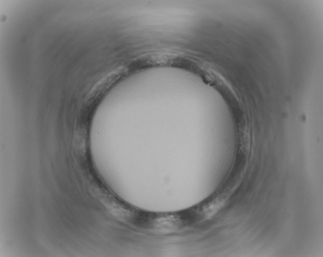 X0000070390505200606301950