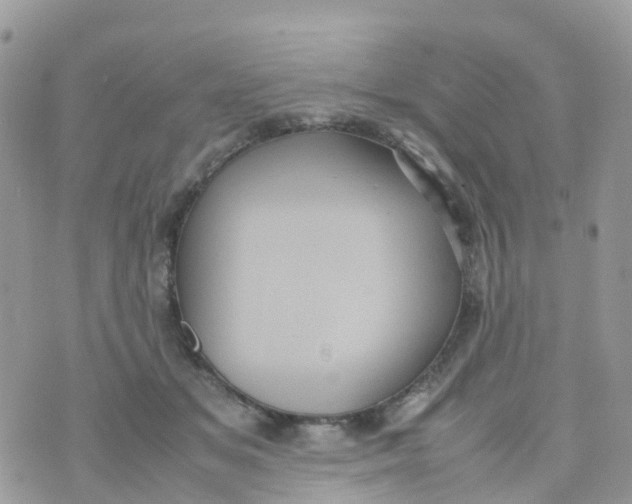 X0000070390509200606301950