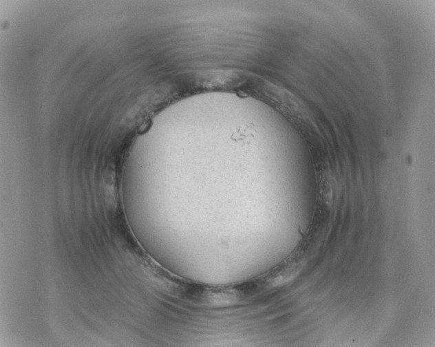 X0000070390510200606301949